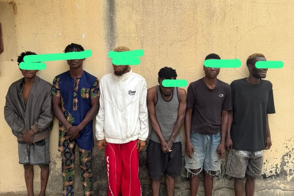 Osun: Police arrest six suspected cultists in hideout raids