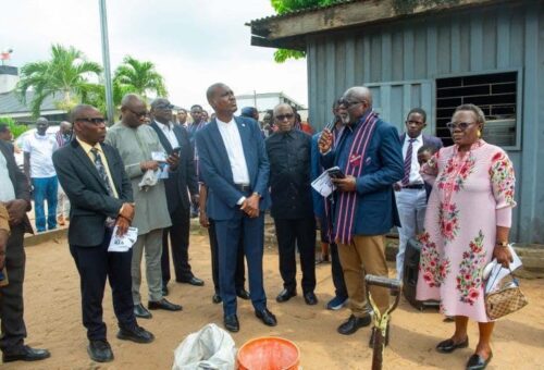 BAOSA Commits Resources to Rehabilitate Labs, Install Solar Lighting – THISDAYLIVE