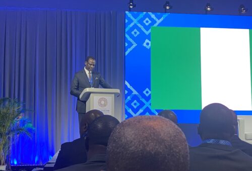 No return to fuel subsidy, multiple exchange rates, Oyedele insists