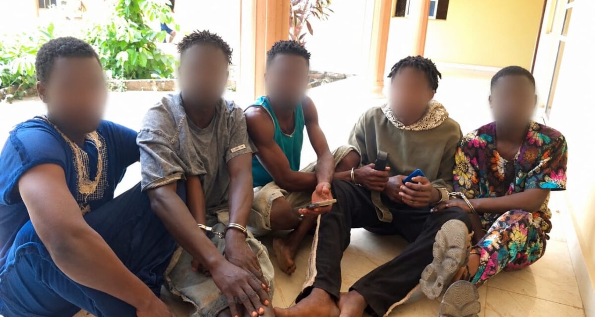 Crime: Osun police arrest 14 suspects after raids