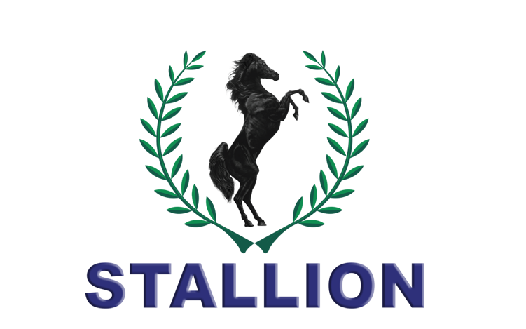 Court upholds appointment of receiver/manager in debt recovery suit against Stallion Group
