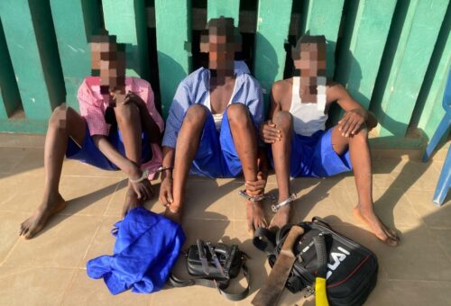 12-year-old, two others arrested as Ogun police foil secondary school cult initiation