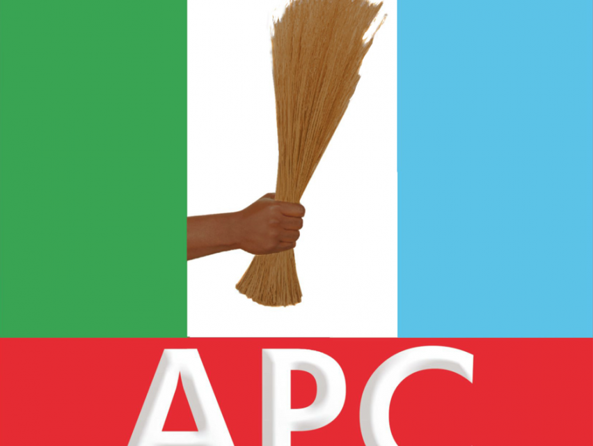 APC includes Edu in campaign council – Daily Trust