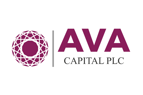 AVA Capital Posts N2.63bn Profit Before Tax in Nine Months – THISDAYLIVE