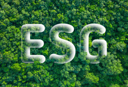Nigeria’s largest listed companies have crossed a meaningful ESG threshold