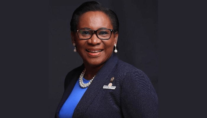 Nigeria risk financial loses due to uninsured govt assets – NCRIB – Daily Trust