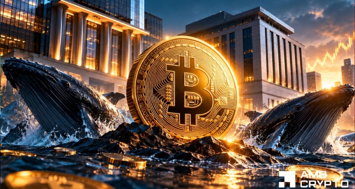 Bitcoin sees 1M in whale withdrawals – Why BTC could reclaim K