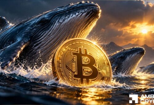 Bitcoin whales add 88,987 BTC – So why are traders buying protection?