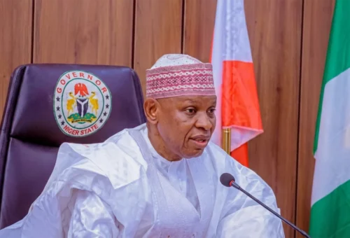 ‘Why Kano Displayed Political Strength At Kaduna Rally’