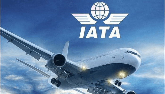 Payments Cost Airlines .5bn in 2025 – THISDAYLIVE