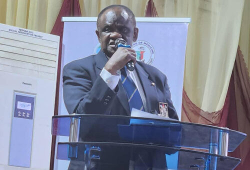 Experts Seek Sustained Funding, Local Production to Tackle Nigeria’s Maternal Mortality Crisis – THISDAYLIVE