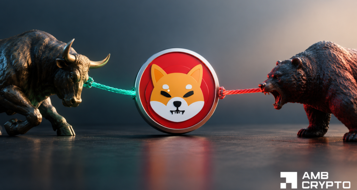 Shiba Inu flashes mixed signals, but which way will its price really go?