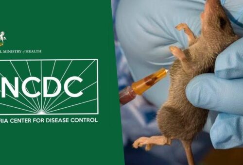 NCDC raises alarm over states’ preparedness for ebola, cholera, lassa fever