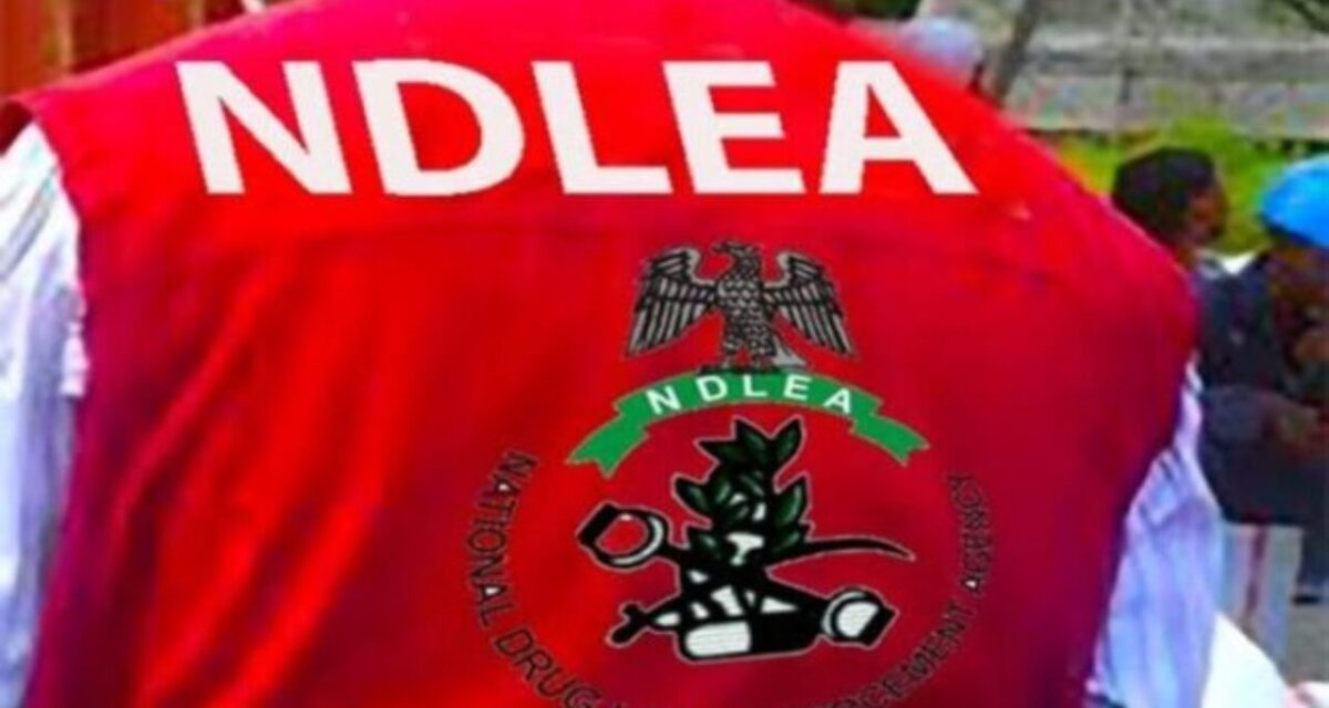 NDLEA arrests South African woman, US-based grandma with large cocaine, loud shipments