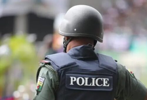 Osun police recover mutilated teenager’s remains, arrest suspect