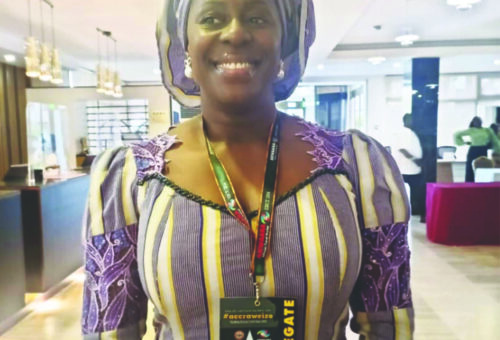 Tour Operators’ Partnership Boosts Nigeria-Benin Business – THISDAYLIVE