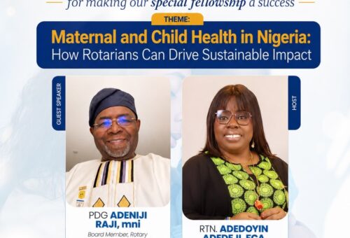 Highlights from The Rotary E-Club Golden Impact of Omole special fellowship
