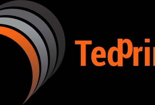TedPrime promotes digital safety in Kwara schools – Daily Trust