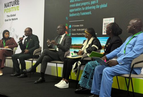 CBD COP17: Why African countries struggle to mobilise biodiversity funding – AfDB official