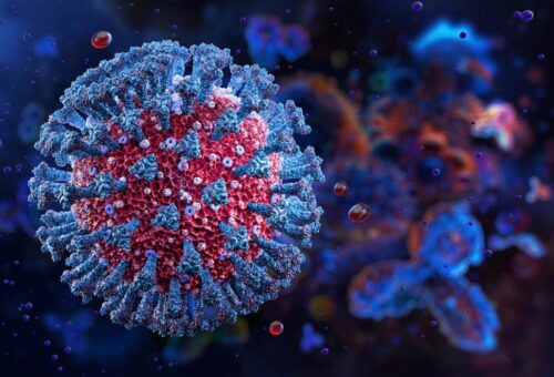NCDC Reports Two New Suspected Ebola Cases, 53 Primary Contacts