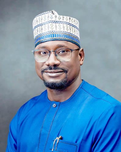Proposed NARE bill poses risk to electricity market – REA CEO – Daily Trust